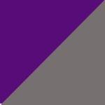 Purple & Silver
