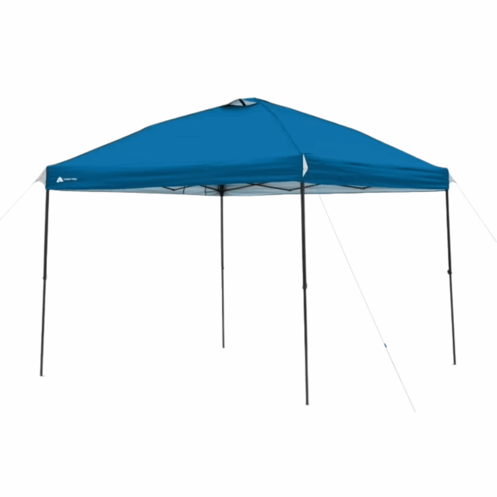 Pop-Up Canopy with Carrying Bag (10' x 10')